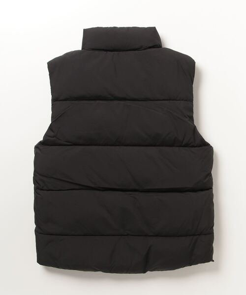 Carhartt WIP（カーハートダブリューアイピー）の「SPRINGFIELD VEST