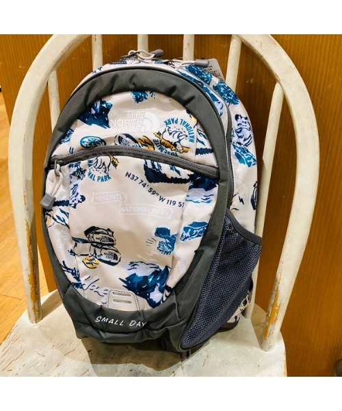 THE NORTH FACE / キッズ スモールデイ（15L）（バックパック/リュック