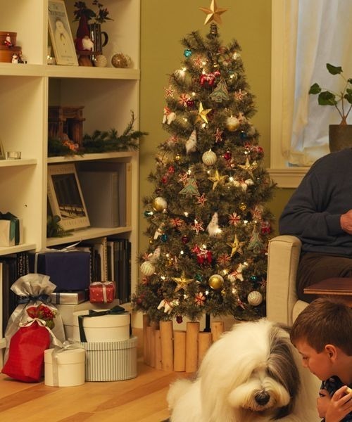 studio CLIP（スタディオクリップ）の「クリスマスツリー 150cm