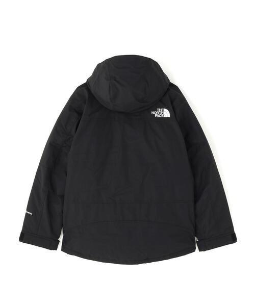 セール】THE NORTH FACE (ザ・ノース・フェイス）Mountain Down Jacket