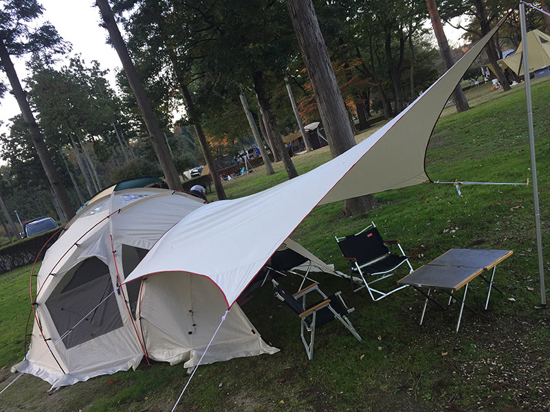 ドックドーム Pro.6 アイボリーの初張り | CAMP*SITE