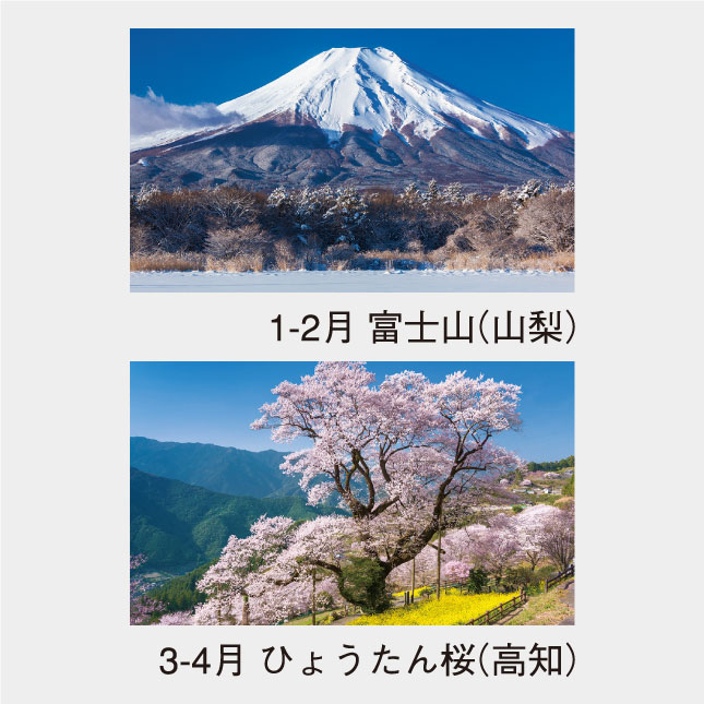 NK-905 四季の日本(2か月文字) | 名入れカレンダー2027年 印刷 激安