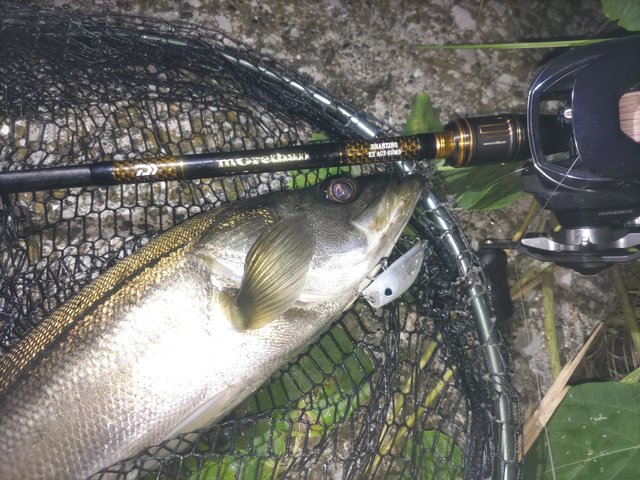 ダイワ ベイトリール 24IM Z TW 200XHL-C(左) 2024 新製品(IM Z TW