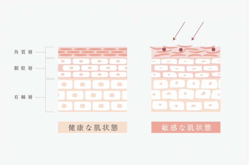 美しい素肌をはぐくむカシー化粧品 | 公式サイト | 