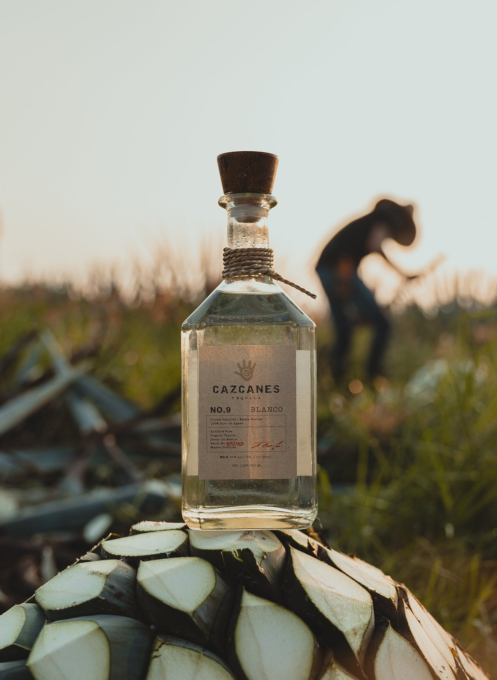 新品・未開封Cazcanes No.7 Blanco テキーラ 新品・未開封Cazcanes No