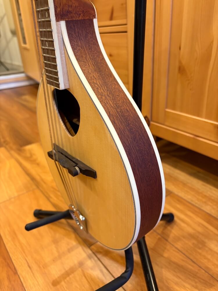 ケルトの笛屋さん | 商品詳細 | Blarney フラットマンドリン 350mm