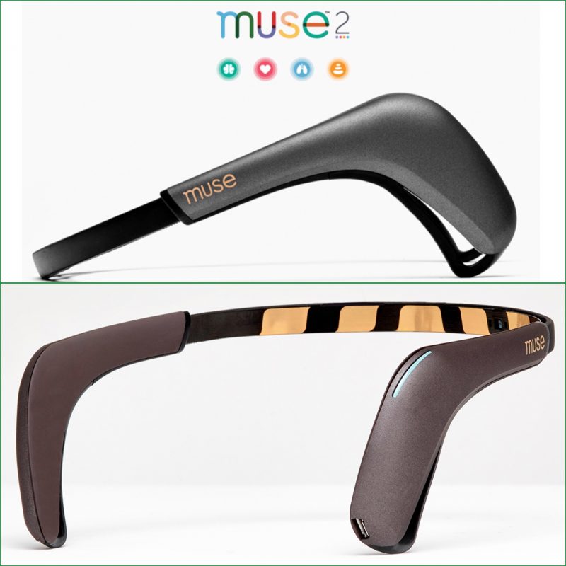 Biohacking : What Can the Muse 2 EEG Measure? « Adafruit