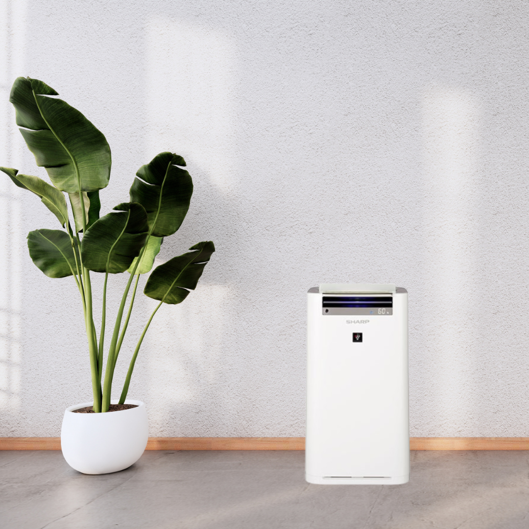 新品】SHARP KC-G40-W 加湿空気清浄機 プラズマクラスター シャープ KC