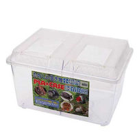 鈴木製作所 飼育容器 特大フラット 黒(430×340×190mm) プラケース 虫