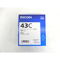 リコー（RICOH） 純正トナー タイプC5000 ブラック 600054 1個（直送品
