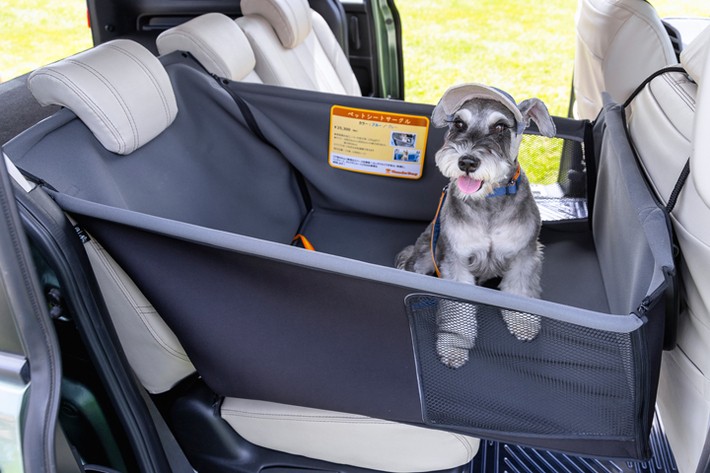 わんこフレンドリーなホンダ純正アクセサリー「Honda Dog」について