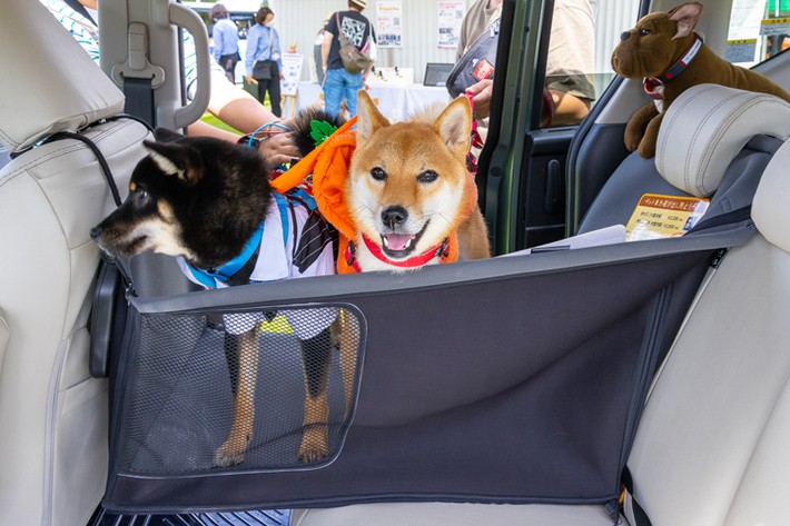 わんこフレンドリーなホンダ純正アクセサリー「Honda Dog」について