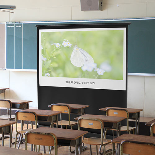 80インチ自立式スクリーン｜16:9・4K対応・持ち運び可【PRS014】