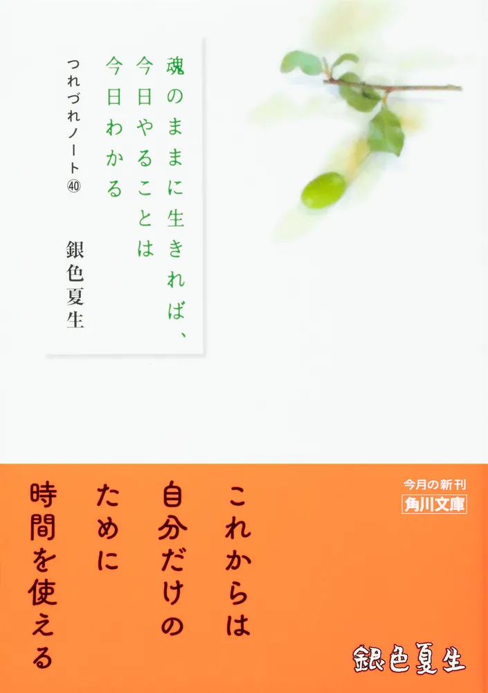 魂のままに生きれば、今日やることは今日わかる つれづれノート40