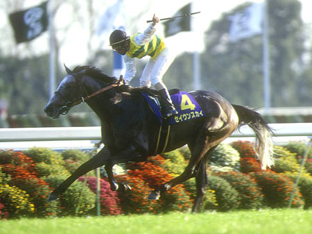 ?pid=news_img&id=15516