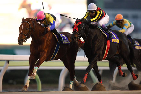 ?pid=news_img&id=6365