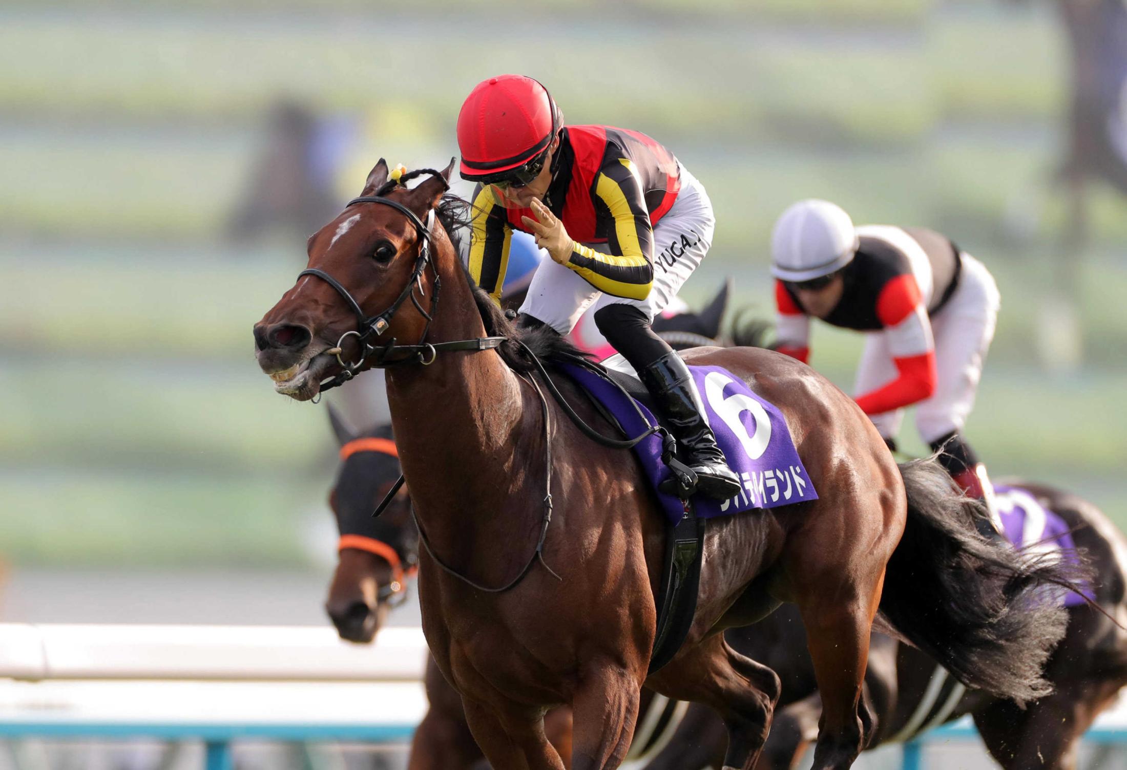 秋華賞】リバティアイランド牝馬3冠 川田涙、38歳誕生日に花添える