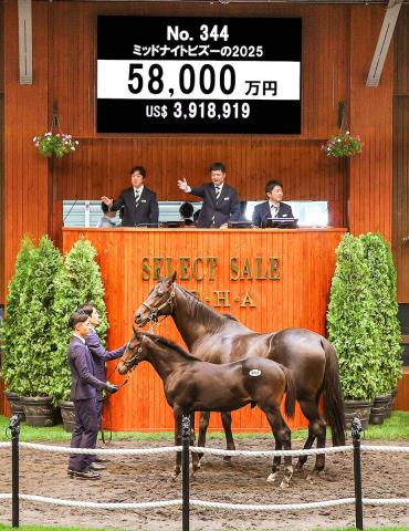 セレクトセール2025】イクイノックスの初年度産駒が歴代3位タイ5億8000
