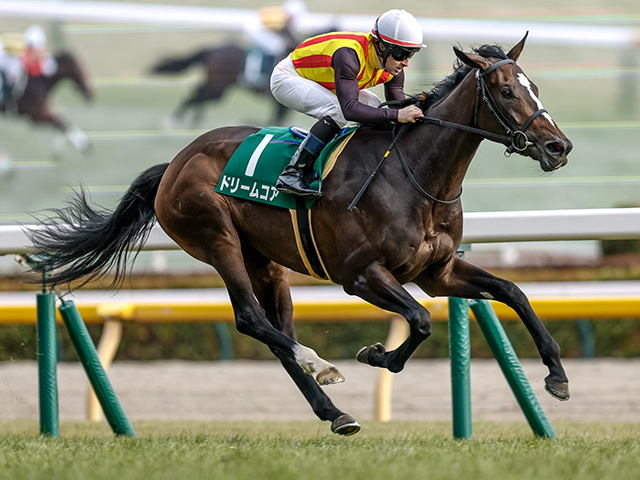 高知・黒船賞結果】シャマルが鮮やかに逃げ切りV！3連覇達成 | 競馬