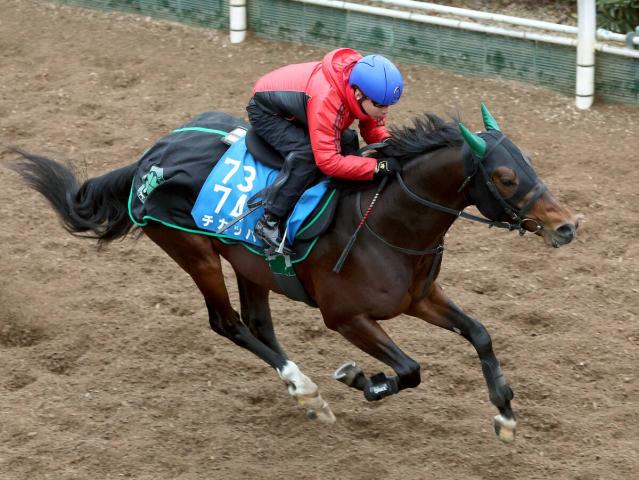 GI未勝利の賞金王」ディープボンドが登録抹消 今後は京都競馬場で乗馬