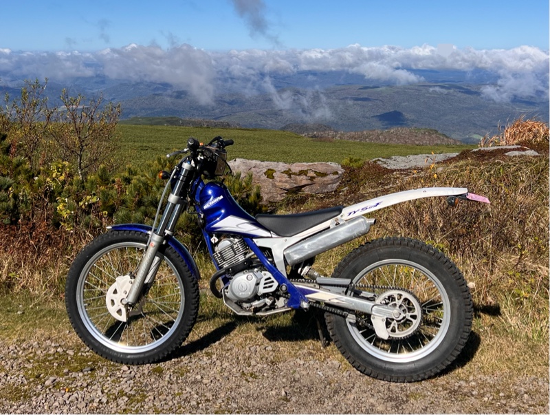 スコルパ TY-S125F カスタムまとめ - おすすめのカスタムはこれだ