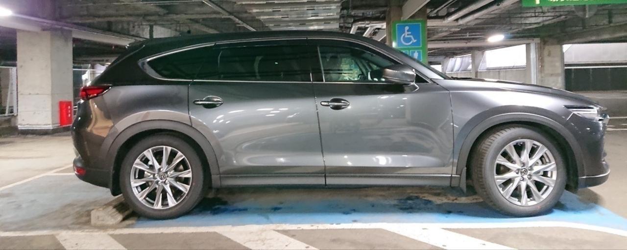 ESPELIR Super DOWNSUS のパーツレビュー | CX-8(nob.s) | みんカラ