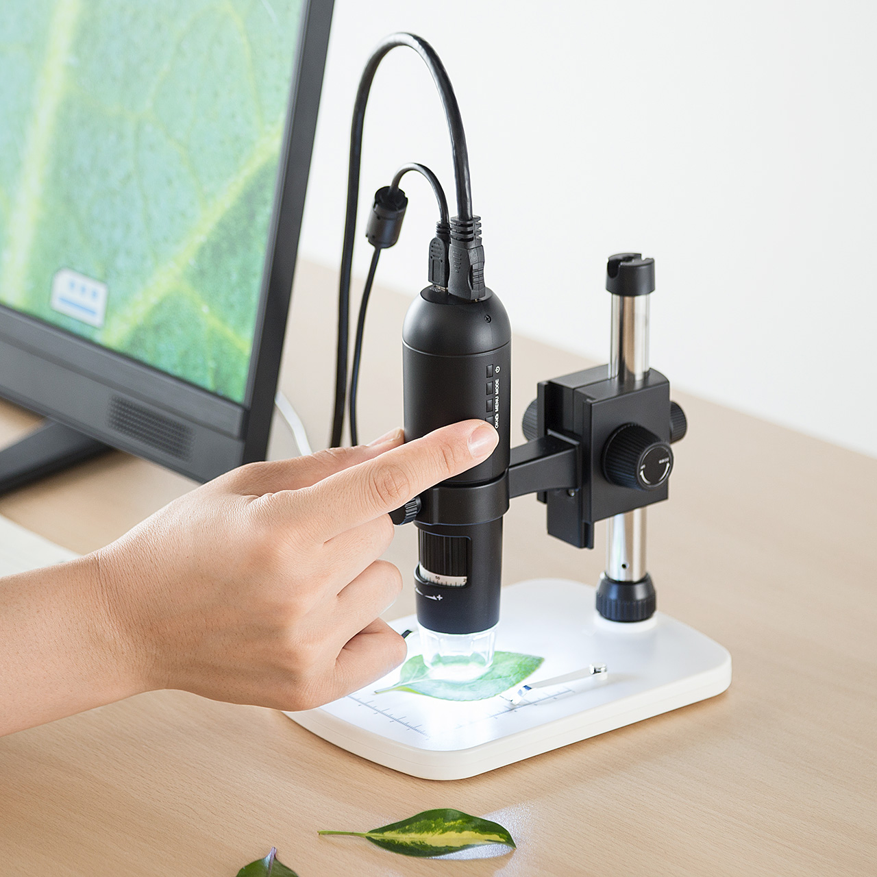 サンワダイレクト本店 サンワサプライ【オフィス・PC周辺通販】