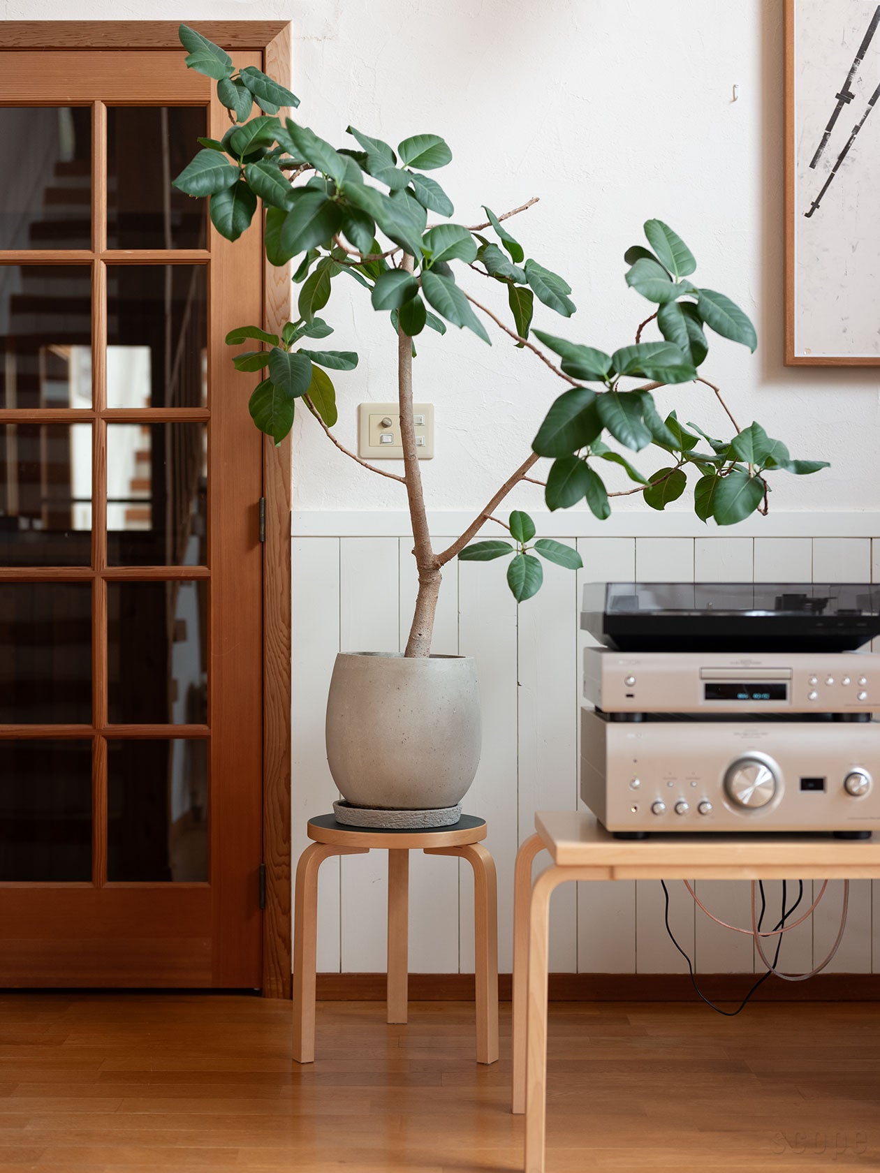 2013年から別注を続ける18色展開｜Artek / Stool 60 スコープ別注