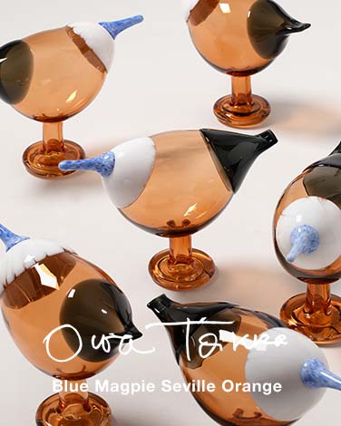 Heini Riitahuhta (ヘイニ・リータフフタ)