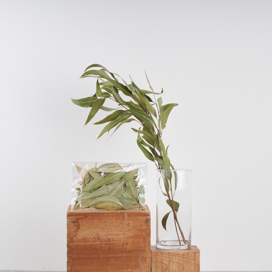 ディスプレイの幅が広がる、ドライボタニカル量り売り（ユーカリポポ