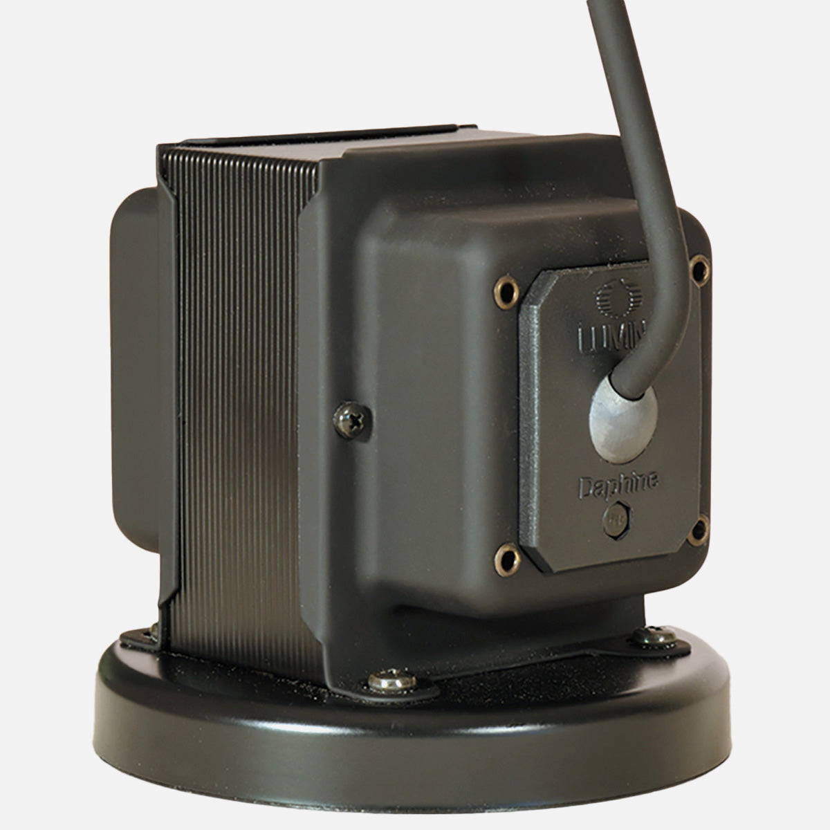 Lumina Daphine LED Floor Black ルミナ ダフィーネ LED フロア