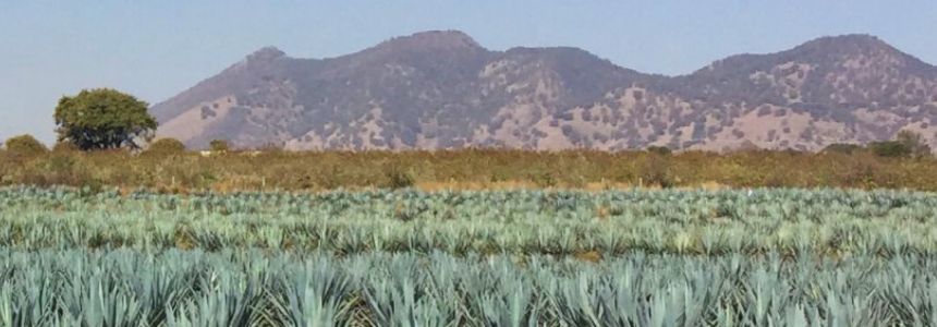 カスカウィンの通販｜SAKE People