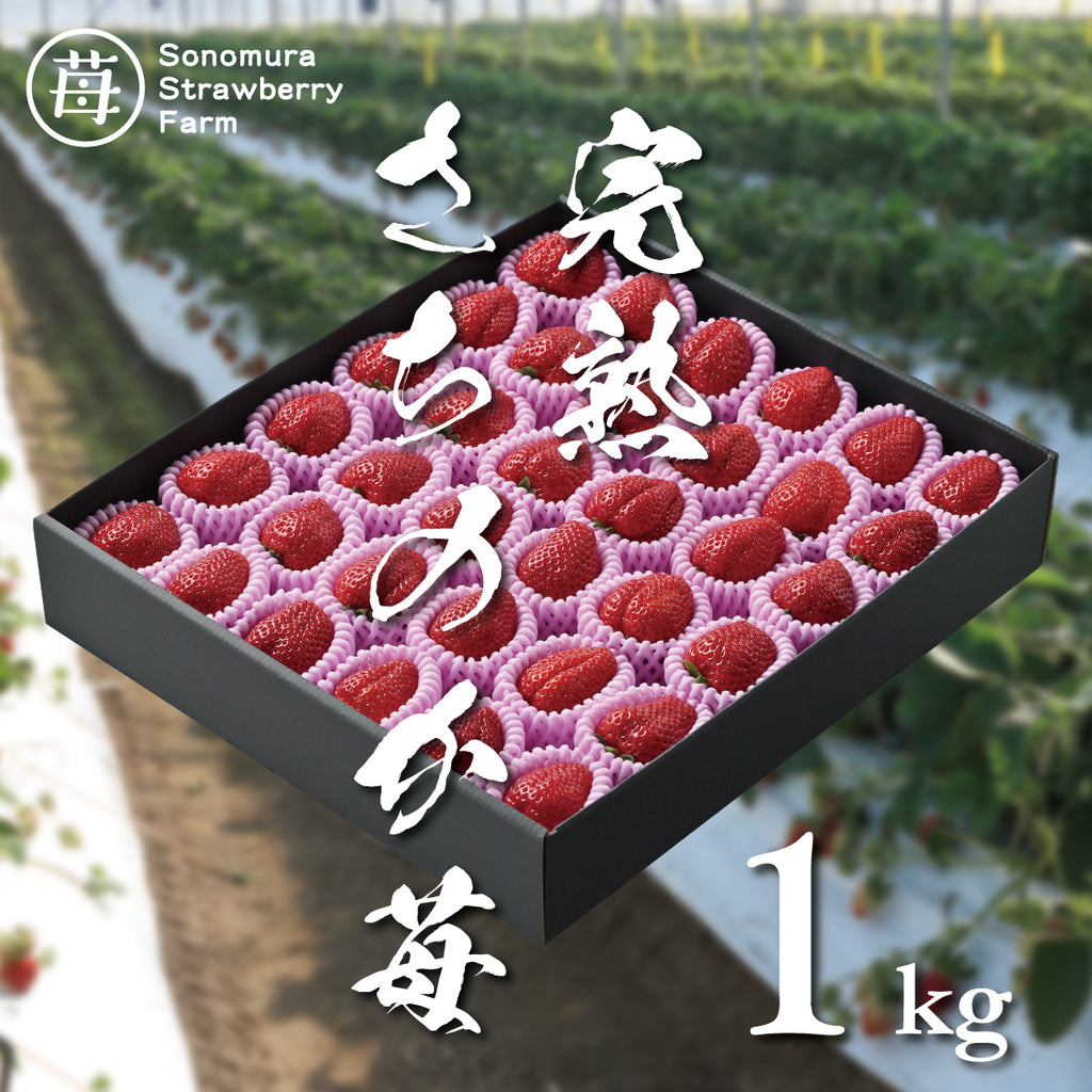 完熟「さちのか」 苺1kg – 園村苺園