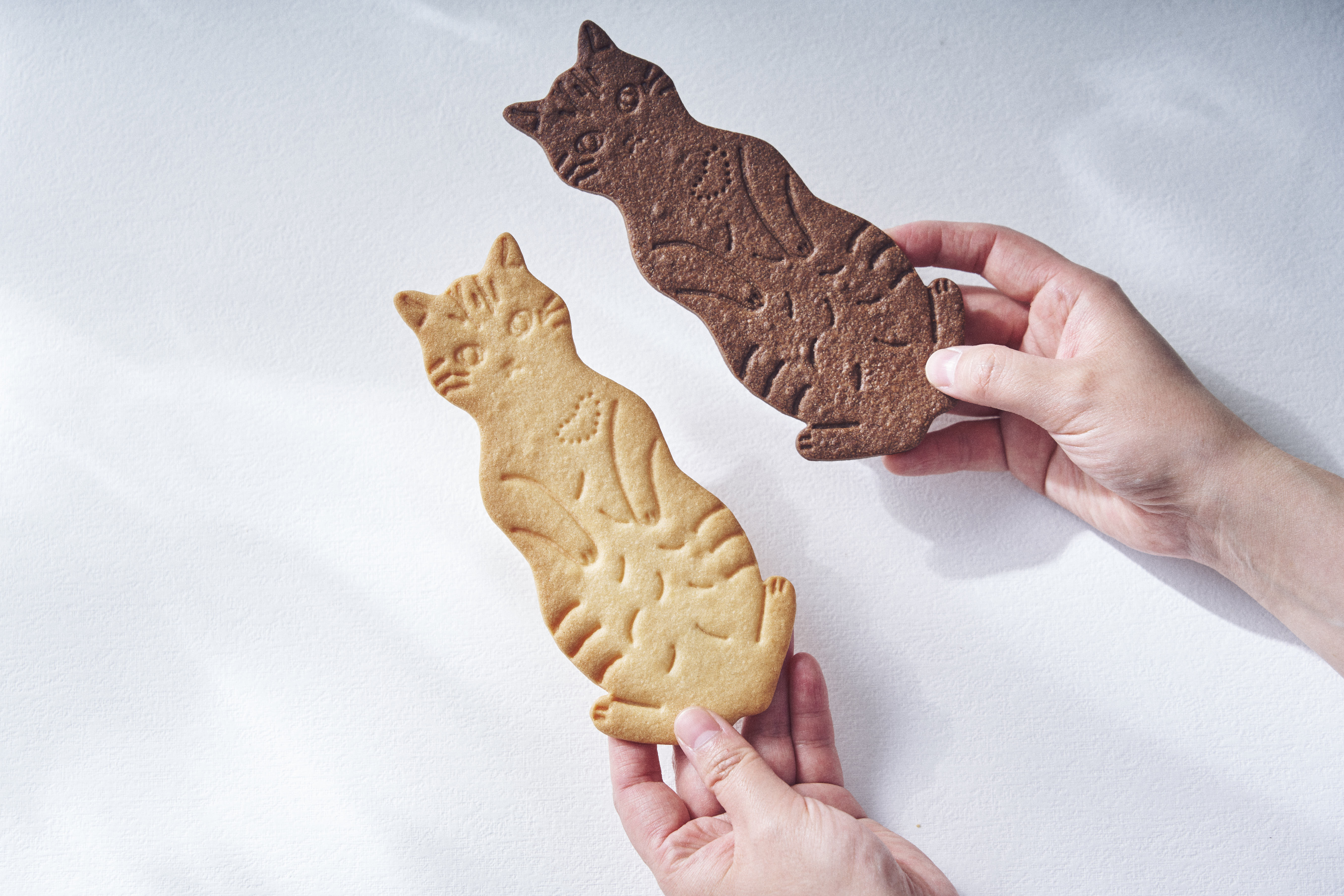 販売休止中】LetterBOX cat cookie ネコクッキーレターボックス thank