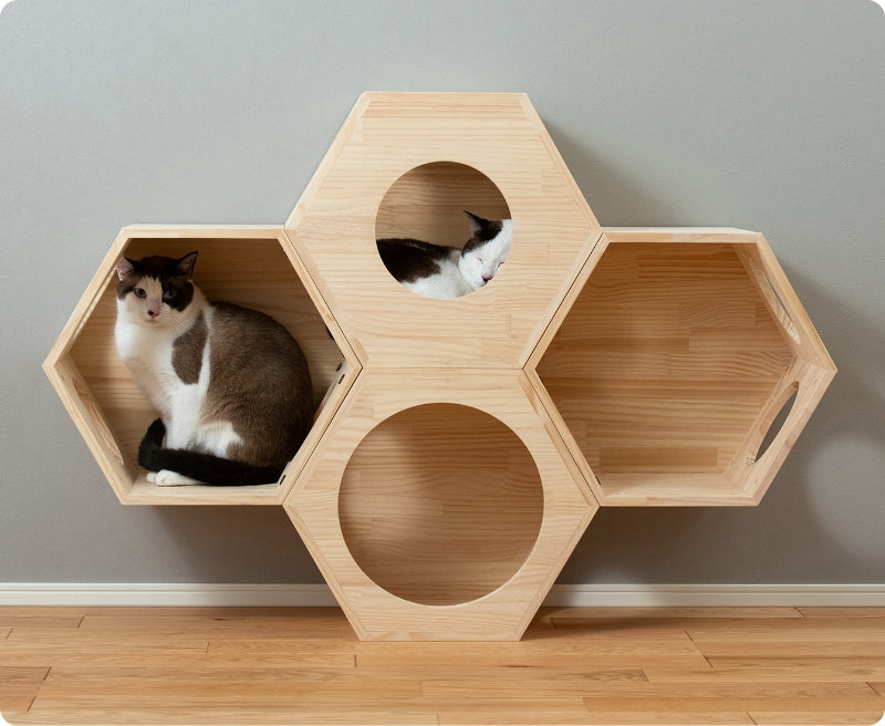 猫ハウス&キャットタワー 六角BOXセット（連結用） ｜ 猫のための木工所
