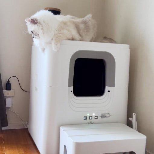 24時間全自動でお掃除 PURE CAT AUTO TOILET | PURE（ピュア）公式