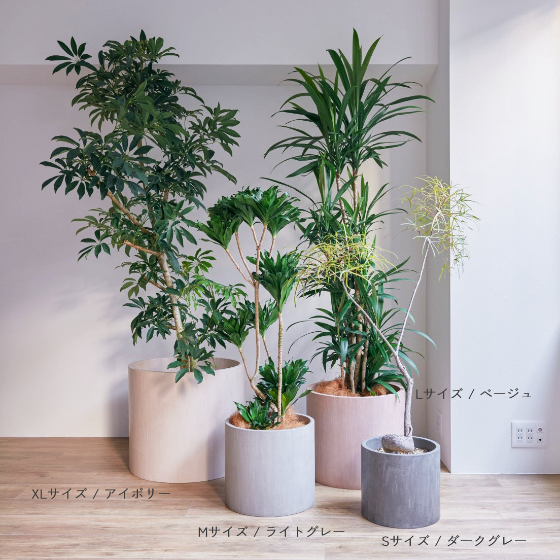 モールテックス 鉢カバー 大型 mortex 鉢 XL 15号まで 幅 54.5cm 高さ