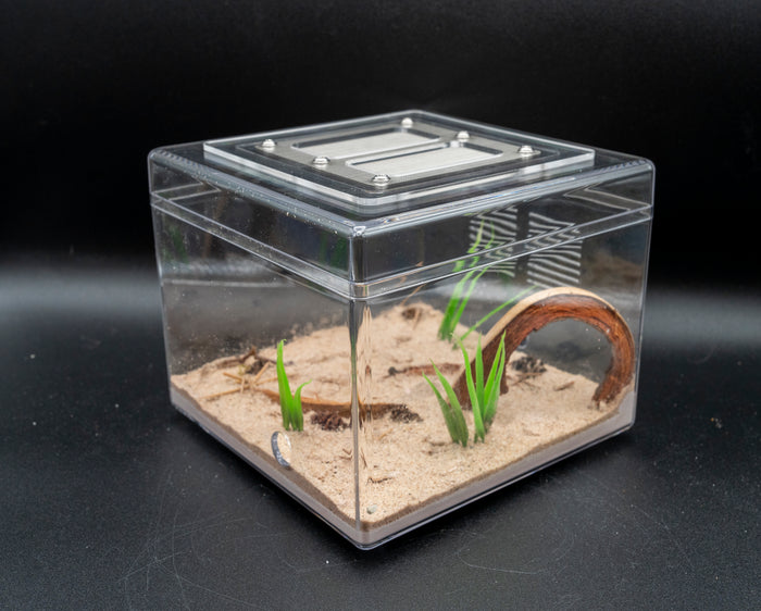 A7R08517_350x@2x.jpg?v=1733946989