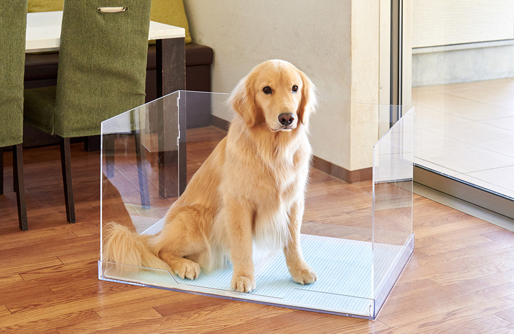 犬用トイレ / クリアレット2専用 飛散ガード ハイタイプ（2サイズ