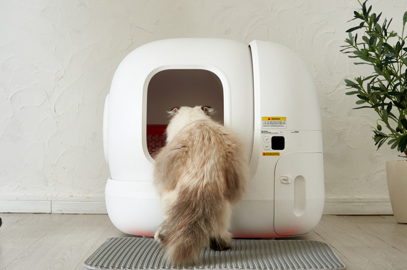 同時発売！自動猫トイレPETKIT Pura X ＆ Pura Max – OFT STORE