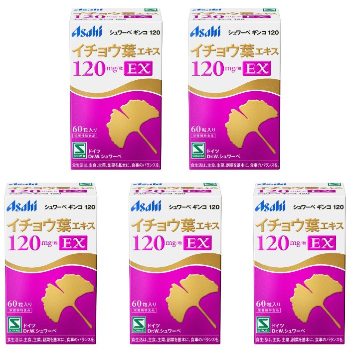 ナチュラルメディスン ギンコ120 ギンコ120 2箱セット ナチュラル