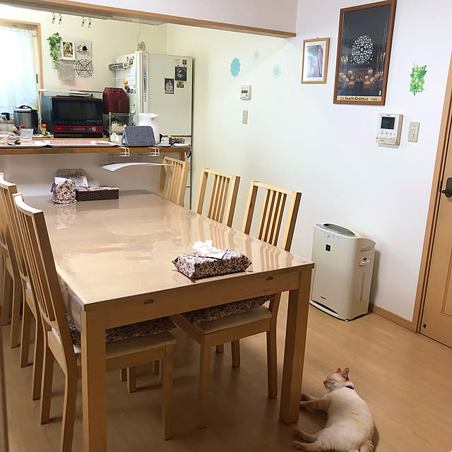 IKEA伸長式ダイニングテーブルのおすすめ商品とおしゃれな実例