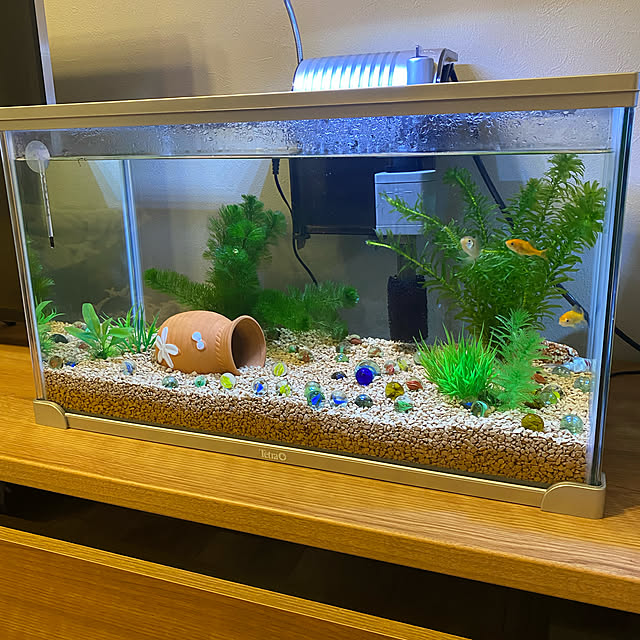 レトロ 昭和水槽 アルナ レトロ 昭和水槽 アルナ