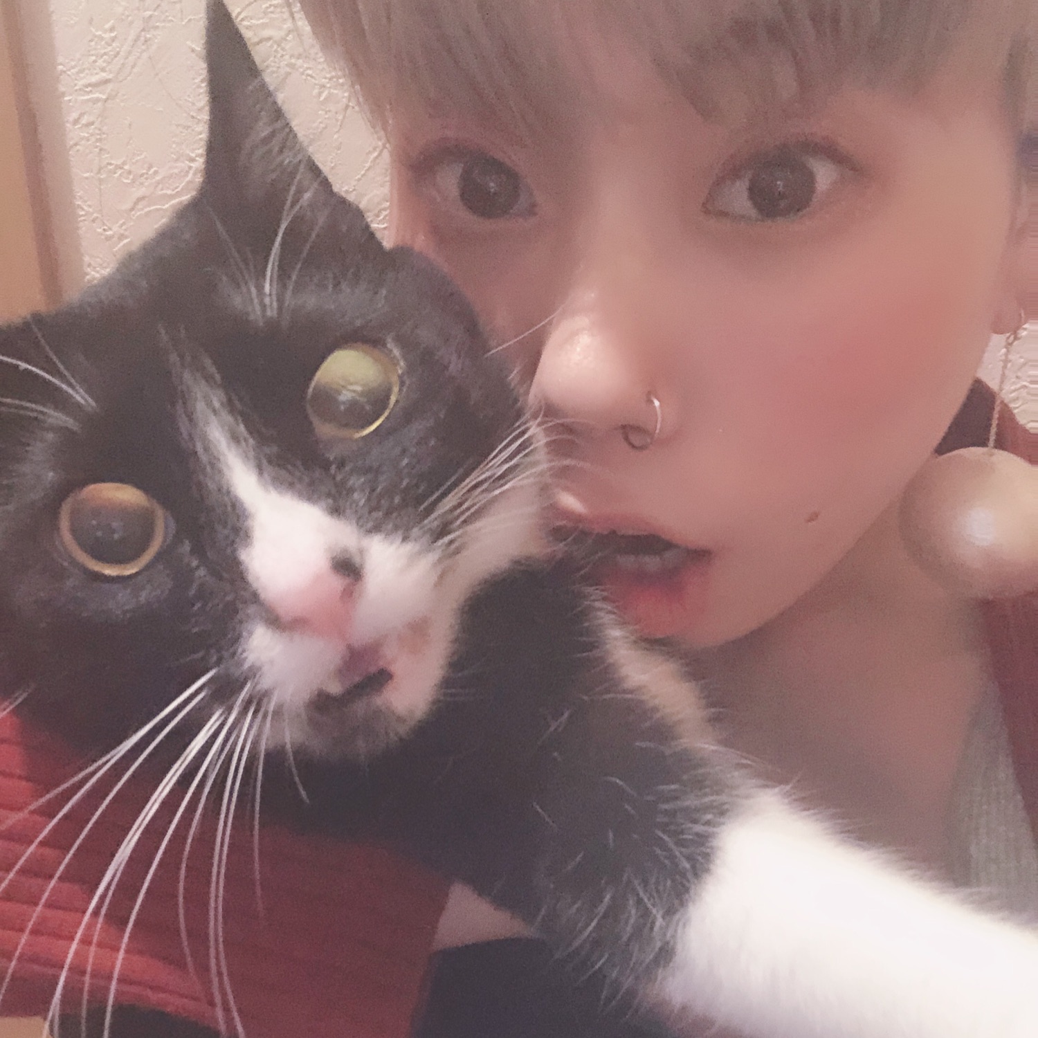 mmts（マミタス）の「mmts / 猫 グレンチェック ワンピース