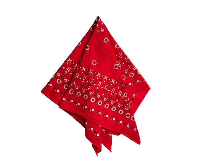 送料無料】台湾 ヴィンテージ 60年代 USA エレファント トランクアップ