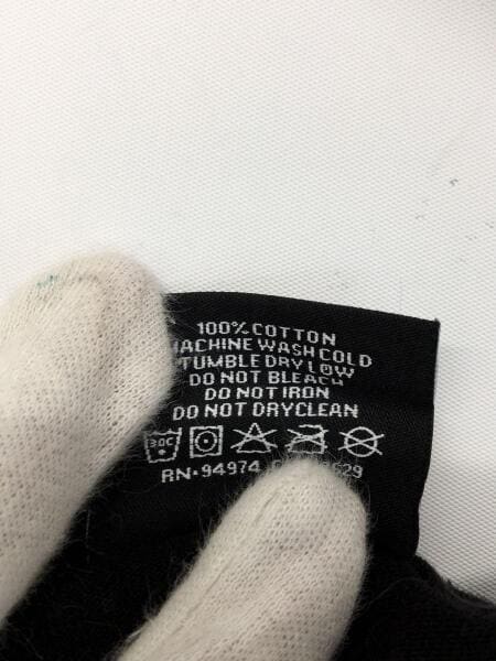 STUSSY(ステューシー) / シャネルロゴ/ワールドツアー/バックプリント