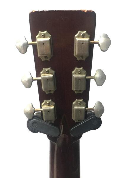 Tokai(トーカイ) / TCM-50V アコースティックギター/ナチュラル・木目