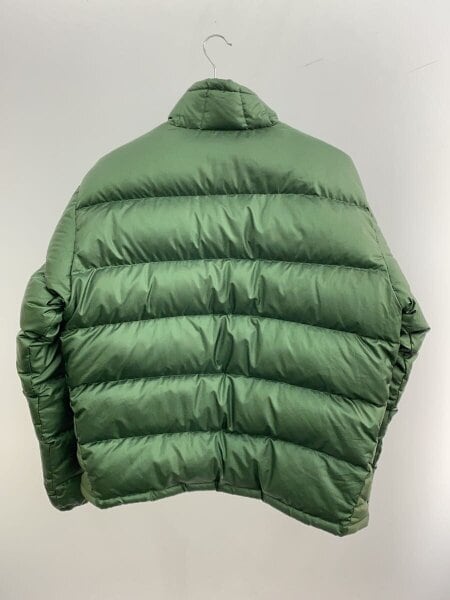 patagonia(パタゴニア) / インサレーショングースダウン/ダウン