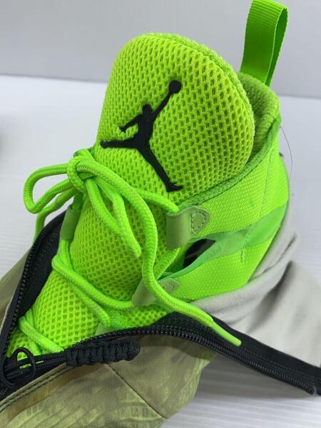 NIKE(ナイキ) / Air Jordan XX8/箱有/ハイカットスニーカー/29cm/GRN