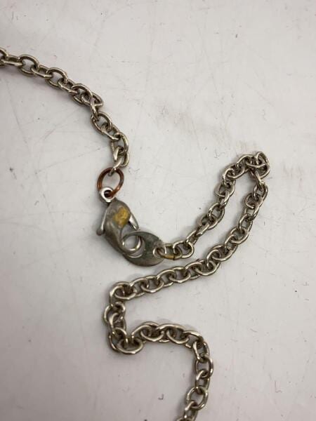 HYSTERIC GLAMOUR(ヒステリックグラマー) / SKULL APPLE/ネックレス